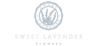 Sweet Lavender Flowers