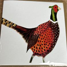 Pheasant 