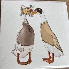 Kissing Ducks