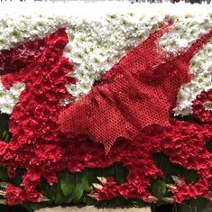 Welsh Flag