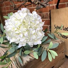 Large White Hydrangea stem